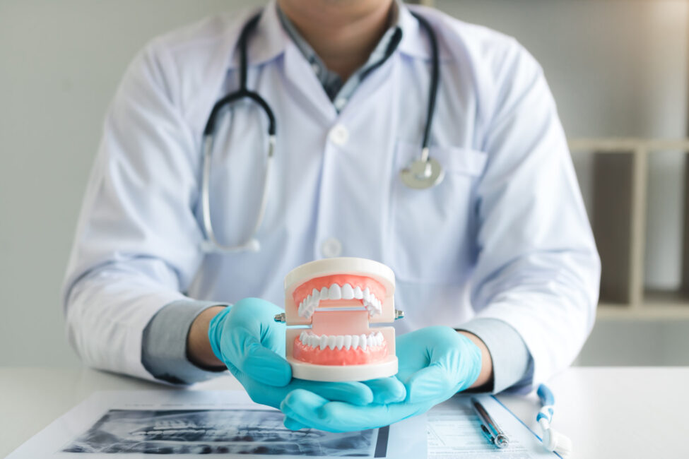 Dentist holding dentures in office room. Dentist holding dentures in office room.
