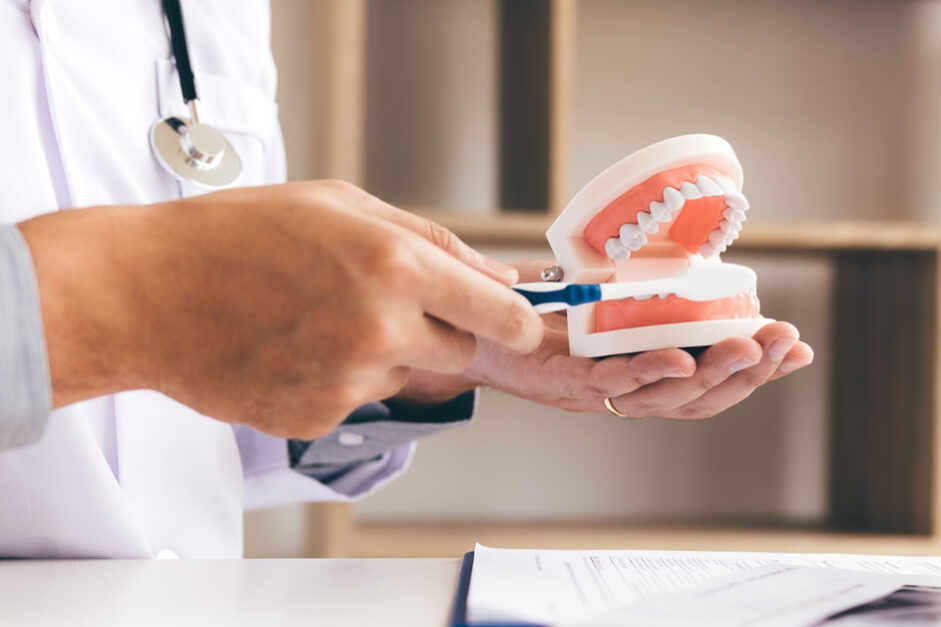Denture Model Teeth Brushing Demonstration Denture Model Teeth Brushing Demonstration