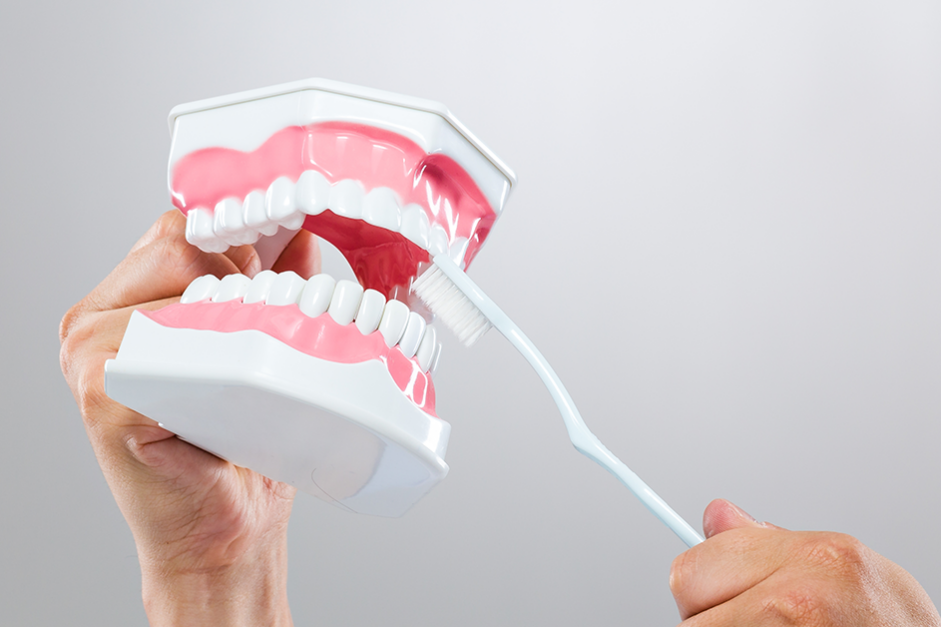 dentist-hold-with-denture-and-toothbrush-NWTY2UZ dentures